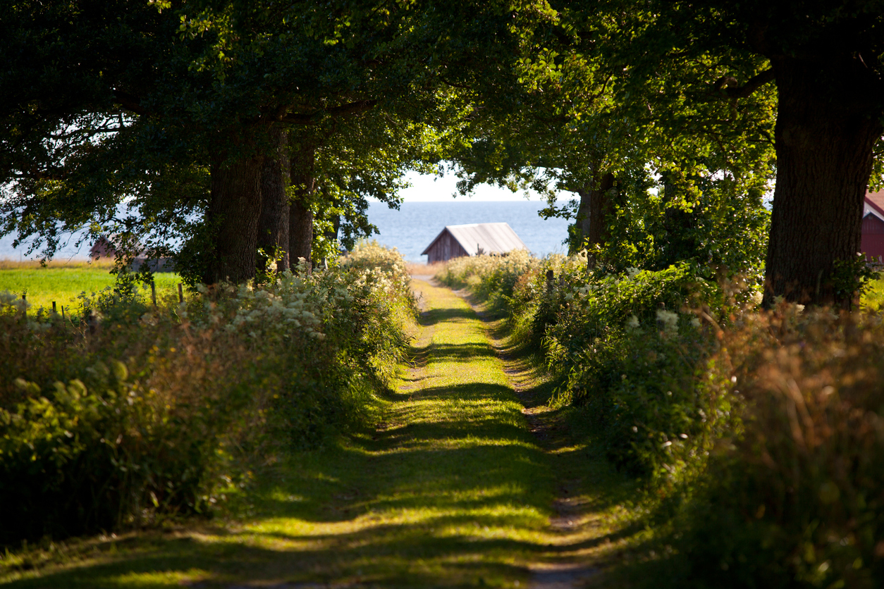 Handelsgårdar på Gotland